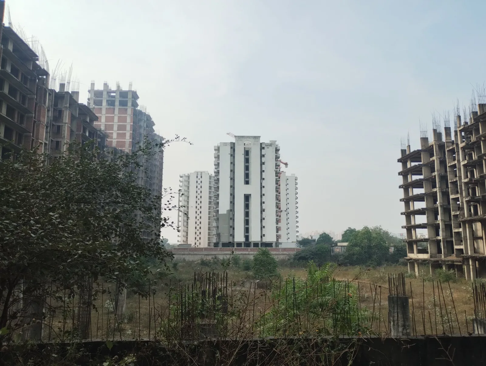 Project photograph