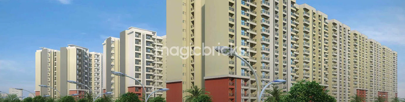 Project photograph