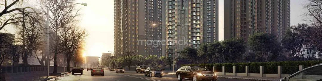 Project photograph