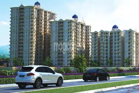 NK Oak Elegance, Argora