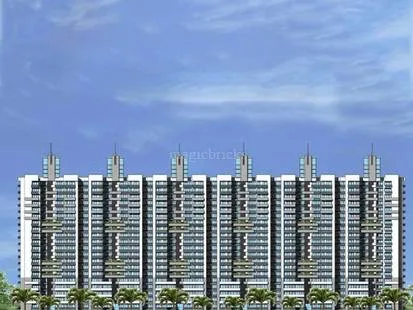 Project photograph