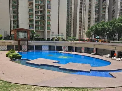 Gaur Saundaryam