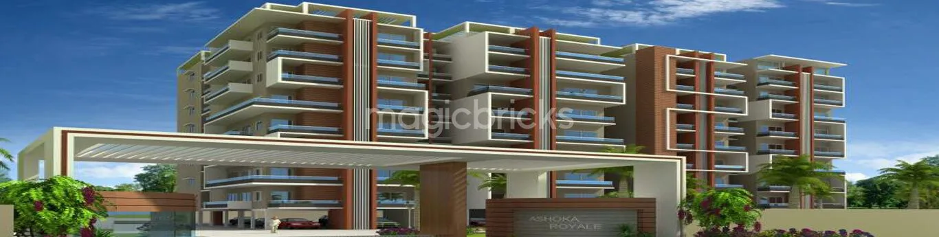 Ashoka Royale, Shankar Nagar