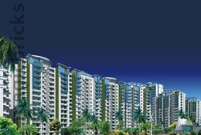 Project photograph
