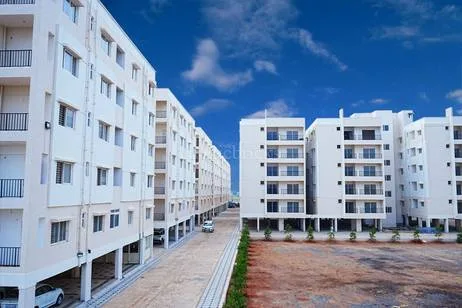 Project photograph