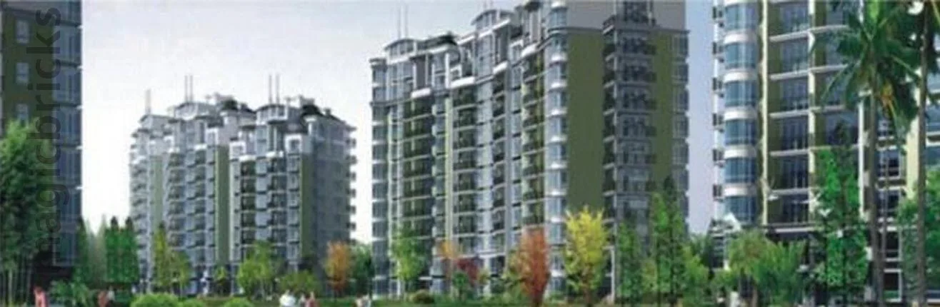 Project photograph