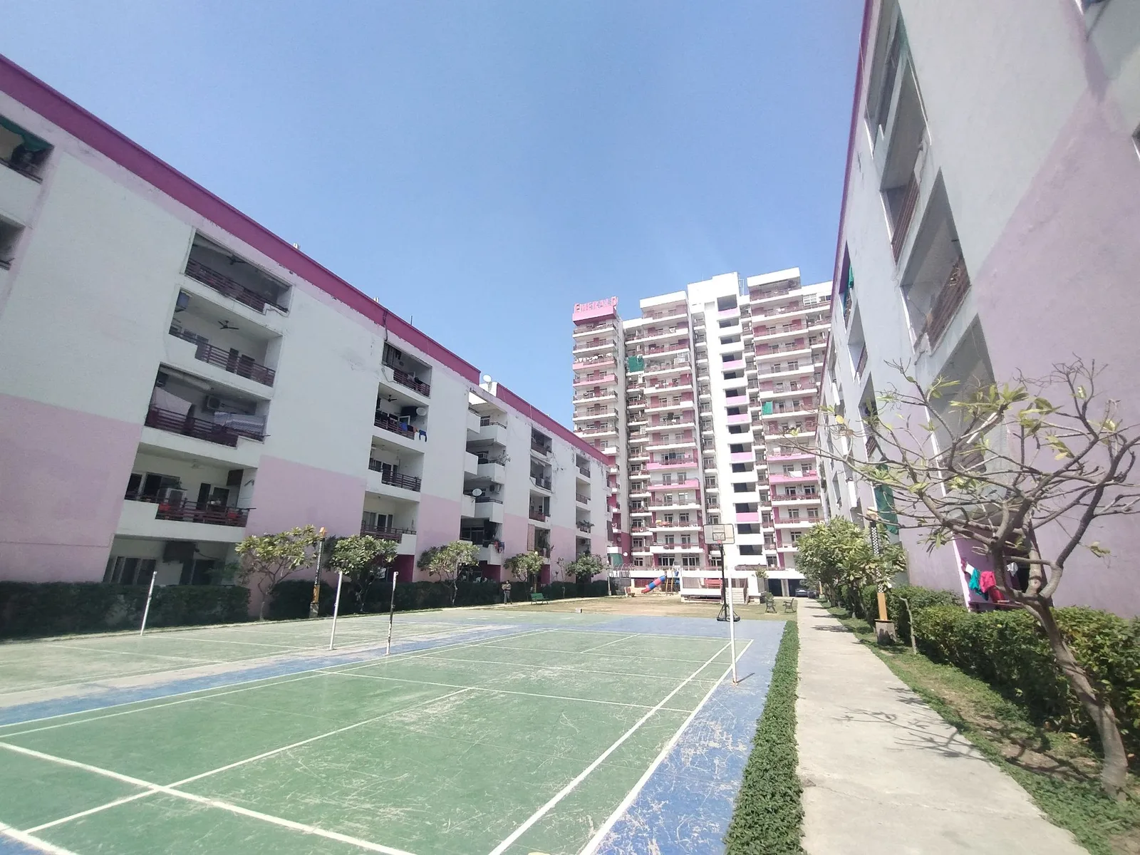 Project photograph