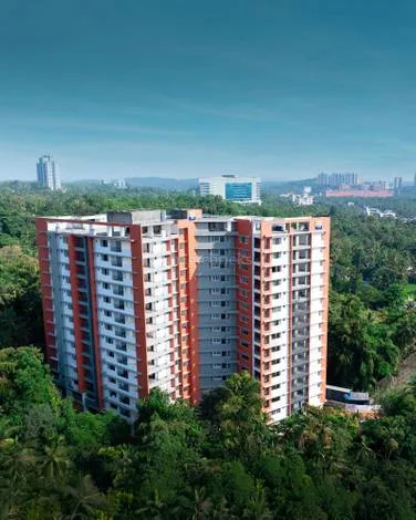 Project photograph